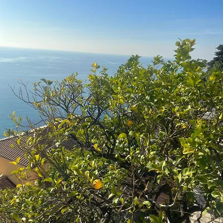 别墅 Bastide Vue Mer Proche Monaco